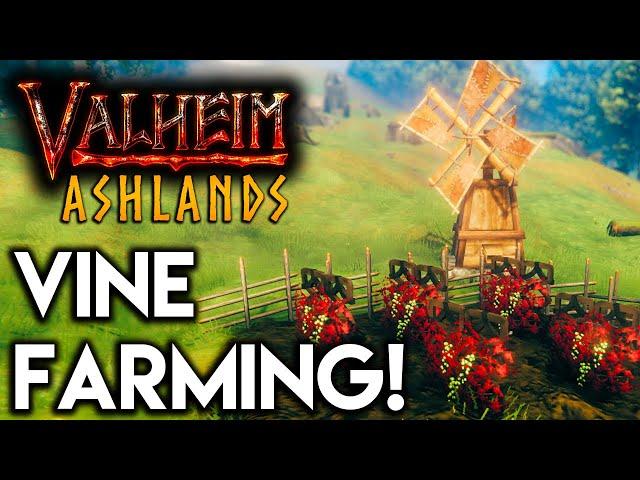 Valheim ASHLANDS: VINE FARMING GUIDE!