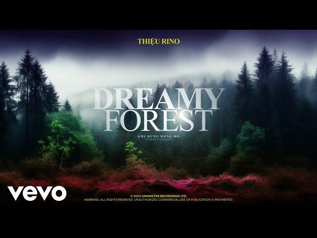 Thiệu Rino - dreamy forest (khu rừng mộng mơ) | Experience Nature