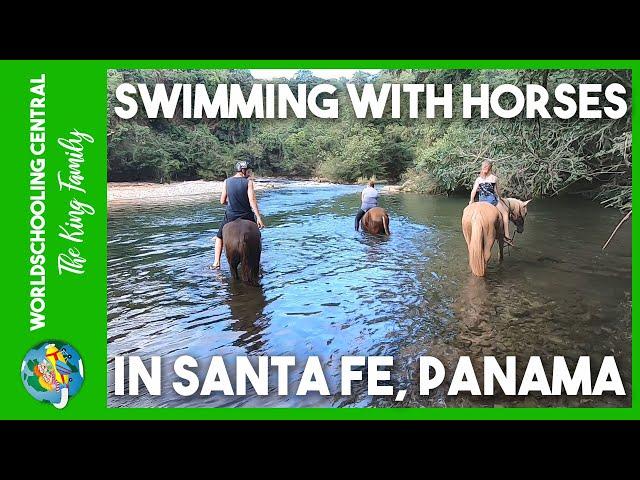 Things to do in Santa Fe, Panama - Swimming with Horses! With Junglecat, Panama