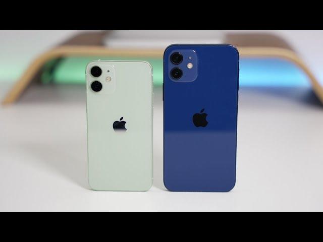 iPhone 12 mini vs iPhone 12 - Which Should You Choose?