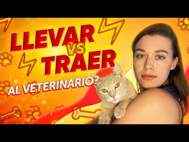 Как не путать LLEVAR vs TRAER? / Испанский для начинающих