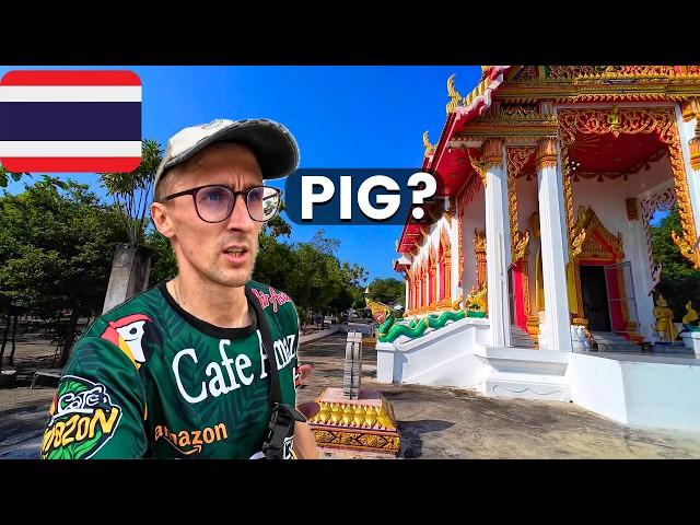 I Found the Hua Hin Pig Temple