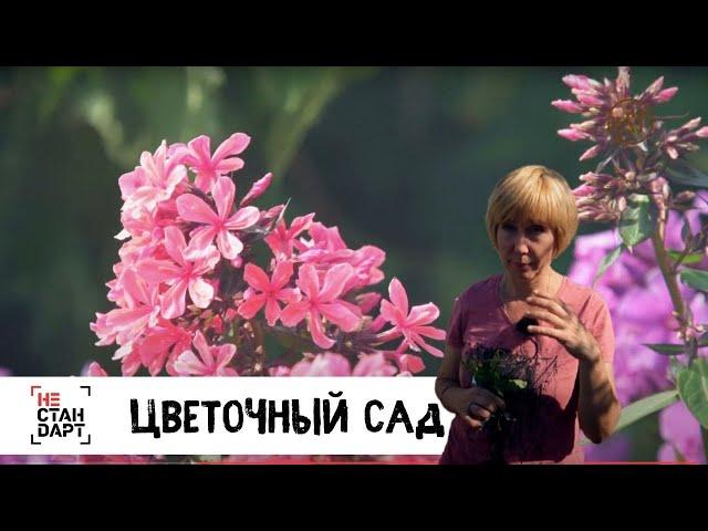 Цветочный сад // Нестандарт / Серия 6