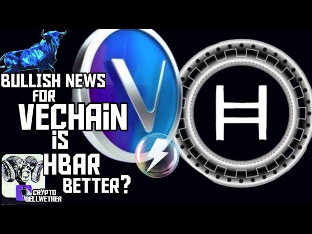 VeChainThor Blockchain (VET) has big NEWS but is (VTHO) or HEDERA HBAR better? MUST WATCH! #vechain