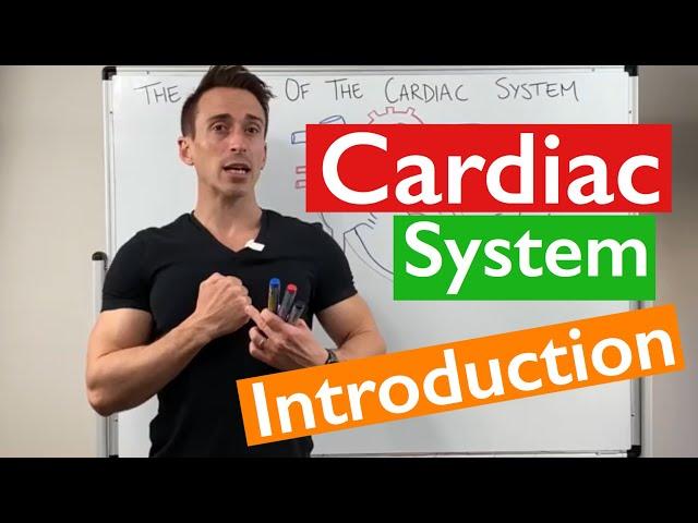 Introduction to the Cardiac System