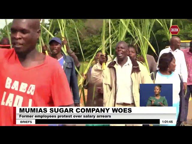 Former Mumias Sugar Company employees protest over salary arrears