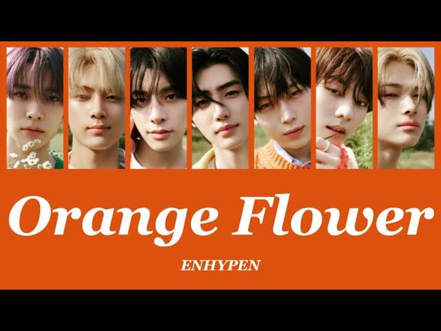 Orange Flower (You Complete Me) - ENHYPEN (엔하이픈)【パート分け/日本語字幕/歌詞/和訳/カナルビ】