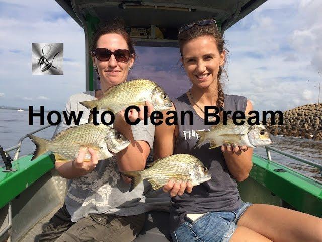 How to Clean Bream | The Hook and The Cook