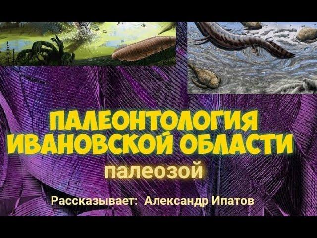 Палеонтология Ивановской области. Палеозой | Александр Ипатов