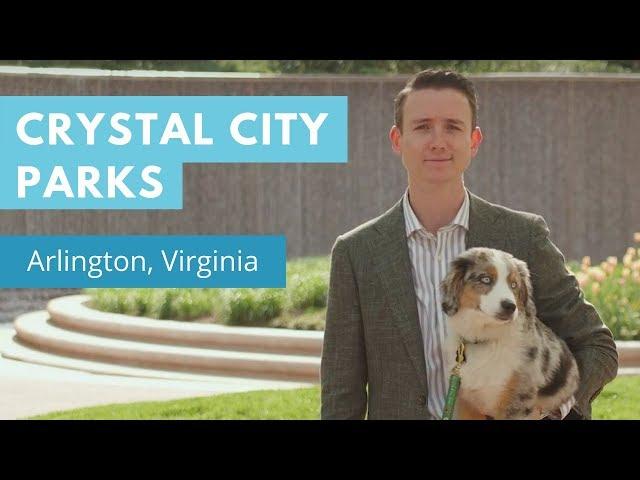 Crystal City Parks: Long Walks, Fresh Air and Art in National Landing 