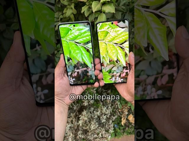 Realme C67 Vs Realme 11 pro Camera Test  #shorts #realmec67 #realme11pro #comparison #trending