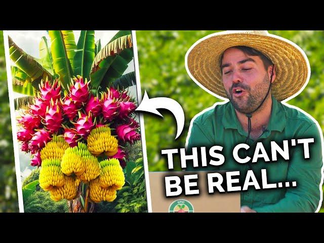 Gardeners React to Best & WORST Garden Hacks