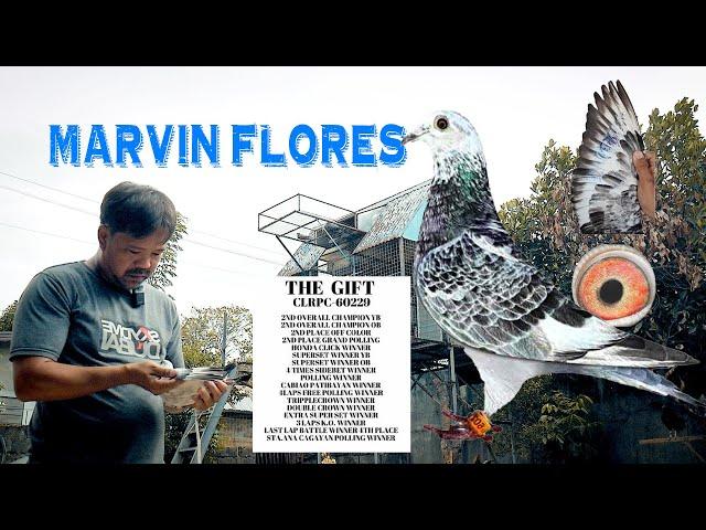 Full Video of Marvin Flores ng Cabiao | Pigeon Insider | Home of the Champion