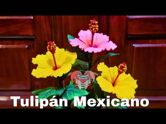 ️Tutorial Tulipán Mexicano/Hibiscus/obelisco/rosa china de fomi/goma Eva con Rosa Riscada Annser 