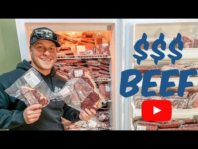 HOW MUCH DOES IT COST TO RAISE A COW FOR BEEF! How to raise your own meat!!!!