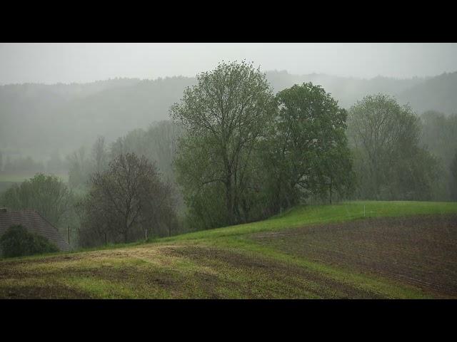 Soothing Rainfall for Meditation and Relaxation