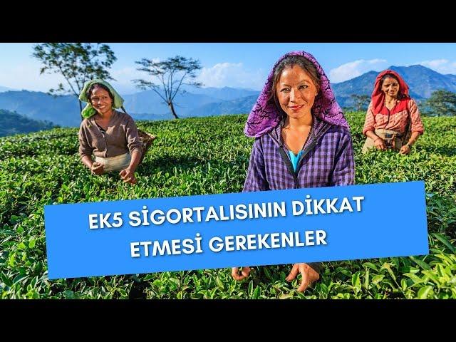 #Ek5 SİGORTALISININ DİKKAT ETMESİ GEREKENLER #SSK #EMEKLİLİK #BORÇLANMA #İŞÇİ #İŞVERE#SİGORTALI