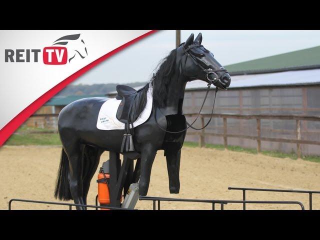 Reiten lernen: Reitunfall - So fallt ihr richtig vom Pferd