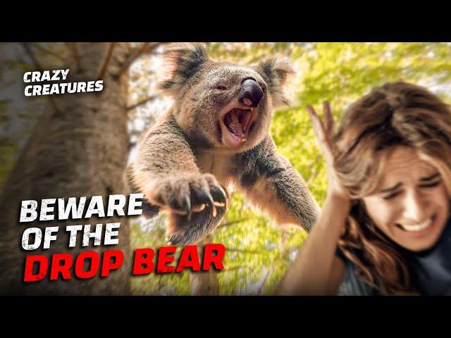 The Drop Bear: Australia's Deadliest Myth