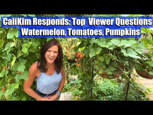 CaliKim Responds: Top  Viewer Organic Garden Questions on Watermelon, Tomatoes & Pumpkins