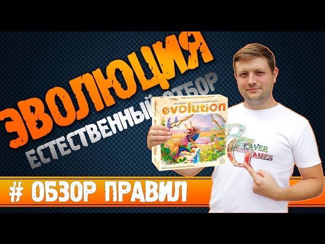 Настольная игра Эволюция Естественный отбор #Обзорправил