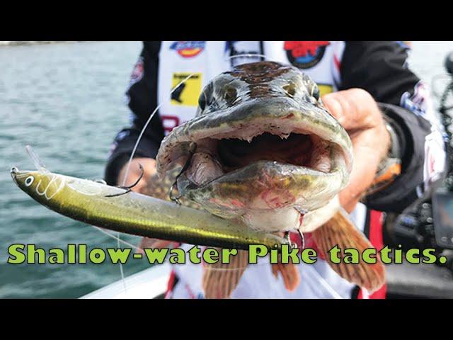 Csf 33 06 Pike Shallow-water action & tips.