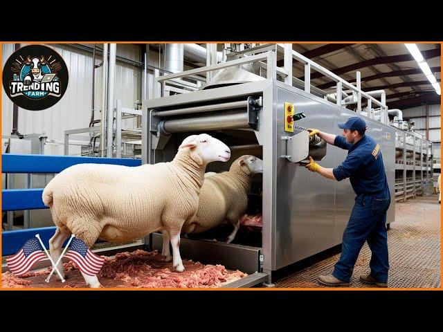 Farmers Couldn't Believe This Machine, Until They Saw How It Worked - Most Ingenious Farm Inventions