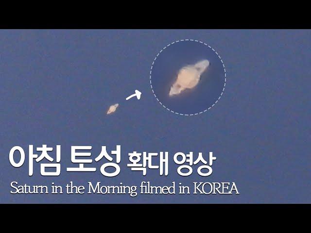 대박!! 오늘 아침 토성의 모습 | Saturn in the Morning Photographed in Korea