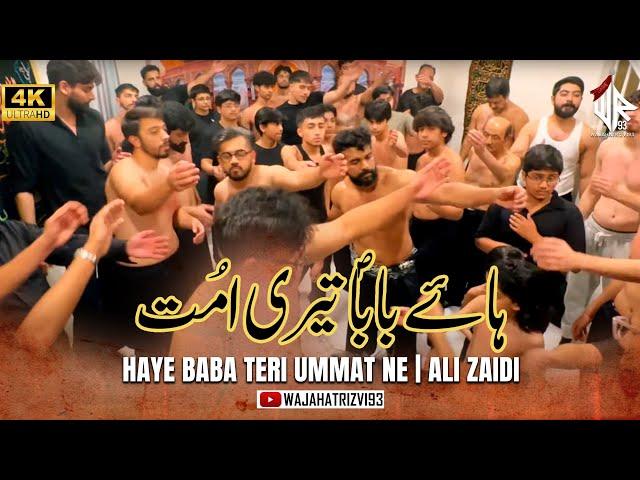 Haye Baba Teri Ummat Ne | Ali Zaidi #bibifatima #matamdari #yaali