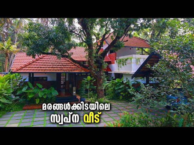 സ്വർഗ്ഗതുല്യം, പച്ചപ്പ് മൂടിയ ഈ തനി മലയാളി വീട് | Traditional Style Kerala House