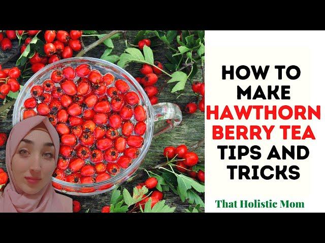 How to Make Hawthorn Berry Tea: Tips and Tricks