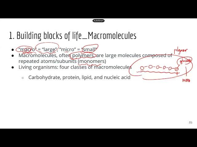 Comprehensive ATI TEAS Science Review Lecture: Macromolecules Part 1_overview and chemical reactions