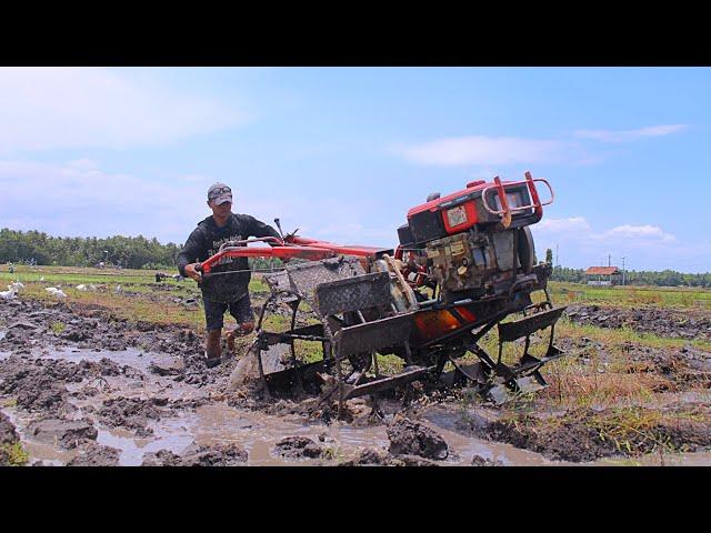 Bongkar Bedengan..!!Traktor Sawah QUICK G1000 Harus Membajak Lahan Bekas LAHAN Cabe Yang KURANG AIR