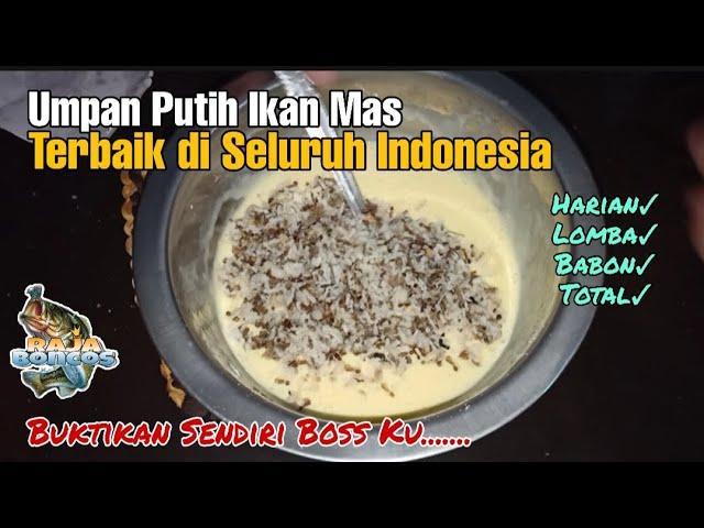 Gak Sempet Ngopi Boss..TERBAIK | Umpan Putih Ikan Mas | Raja Boncos