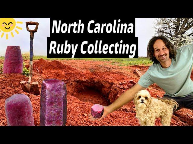 Ruby & Sapphire Discovery in a North Carolina BACKYARD 