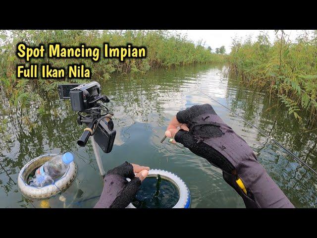 FULL IKAN NILA‼️SPOT MANCING IMPIAN SEMUA PEMANCING LIAR‼️MANCING IKAN NILA - MANCING MANIA