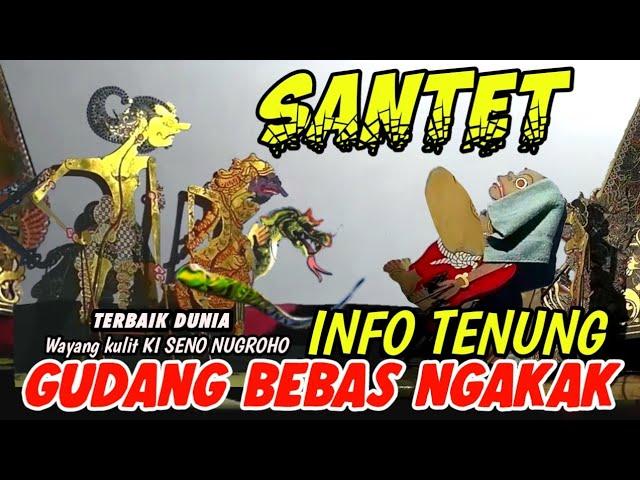 BAGONG SANGAT LUCU BIKIN PERUT KAKU | PAGELARAN WAYANG KULIT DALANG SENO NUGROHO