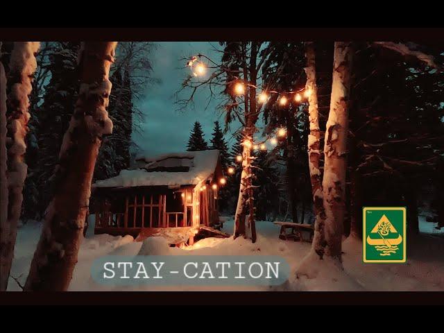 Winter Wonderland Cabin Building (EP 39)