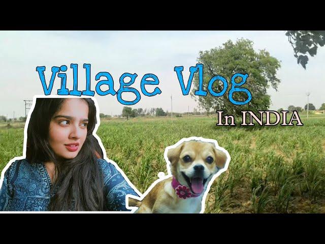 A day in VILLAGE  || Hum kho gye || Being Ananya