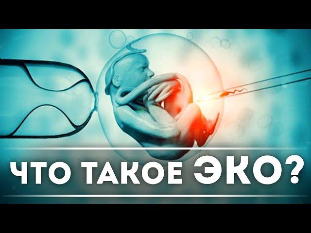 Что такое ЭКО? | DeeaFilm