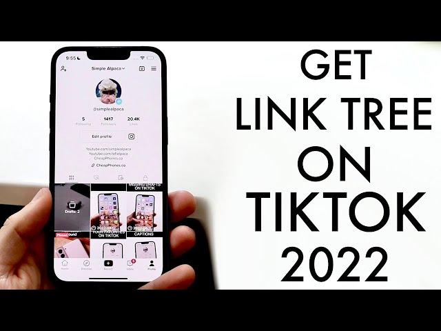 How To Make a Link Tree In TikTok Bio! (2022)