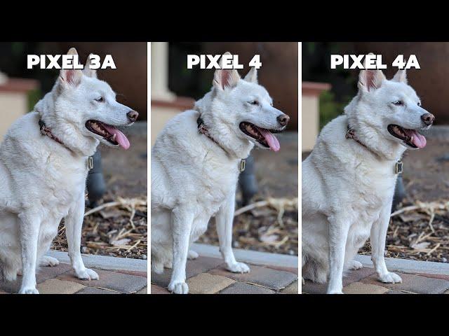 Pixel 3a vs Pixel 4 vs Pixel 4a Camera Comparison