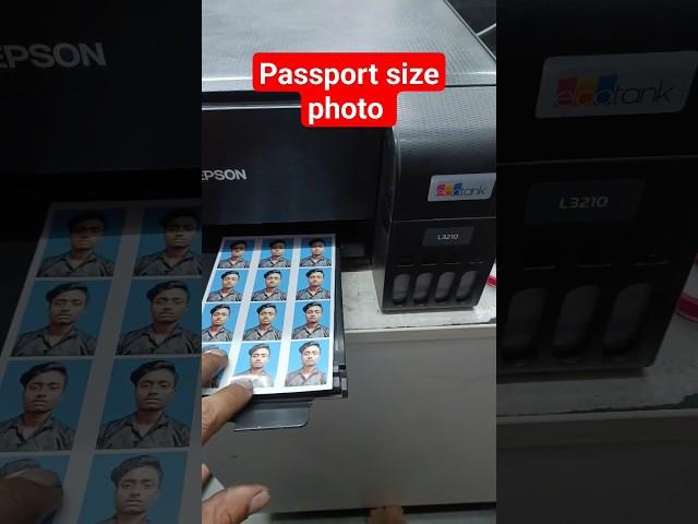 Epson L3210 #passport size photo printer #printersupport