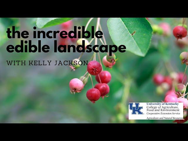 The Incredible Edible Landscape