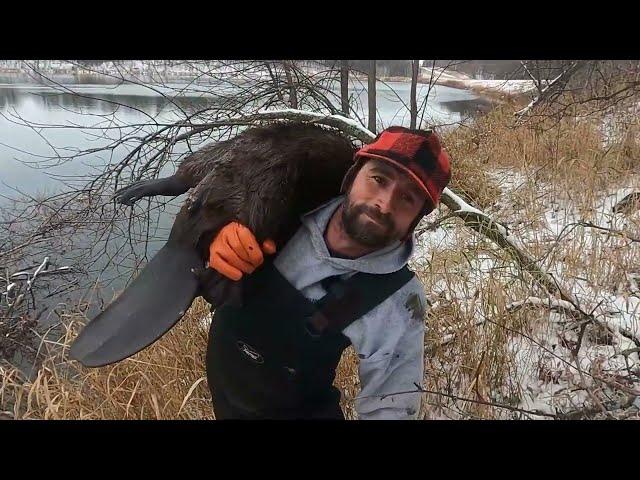 Trapping a Bank Lodge (To Many Otters)