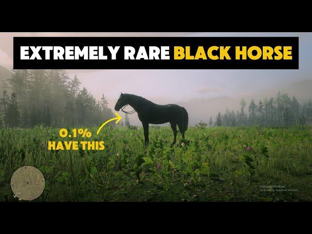 Get Legendary 100% BLACK Horse Locations (Extremely Rare) - RDR2