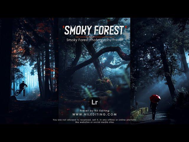 How to Edit Professional Smoky Forest Photography | Lightroom Dark Presets DNG & XMP Free Download