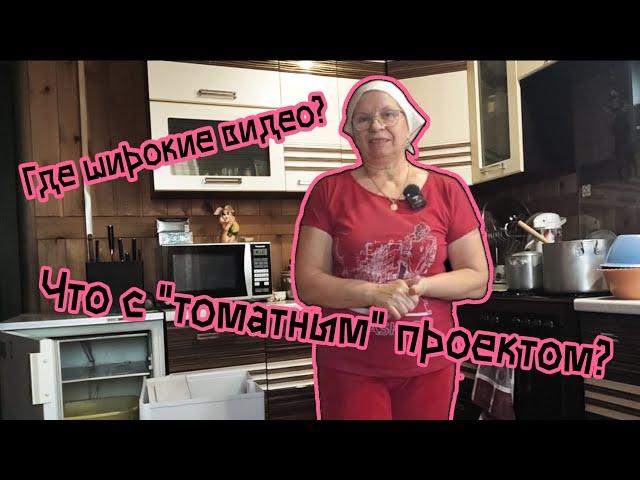 Куда пропала? Что с "томатным" проектом?