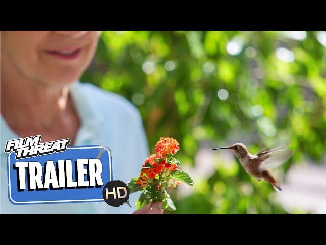 EVERY LITTLE THING | Official HD Trailer (2024) | DOCUMENTARY | Film Threat Trailers