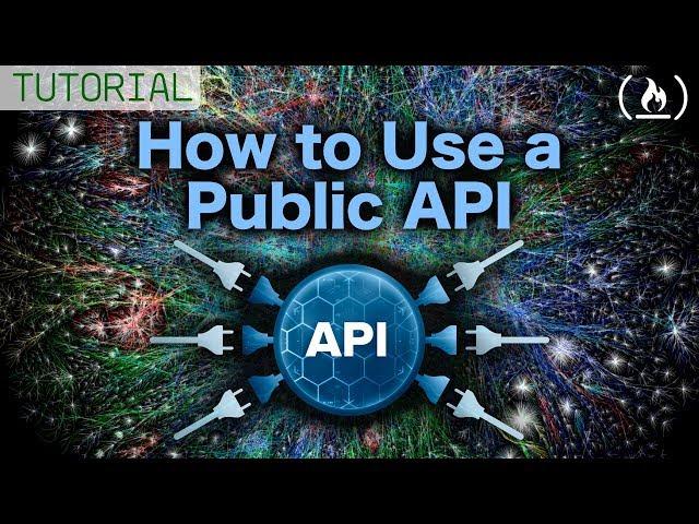 Using a Public API - Tutorial for Beginners